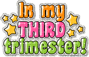 _0_3_in-my-third-trimester1